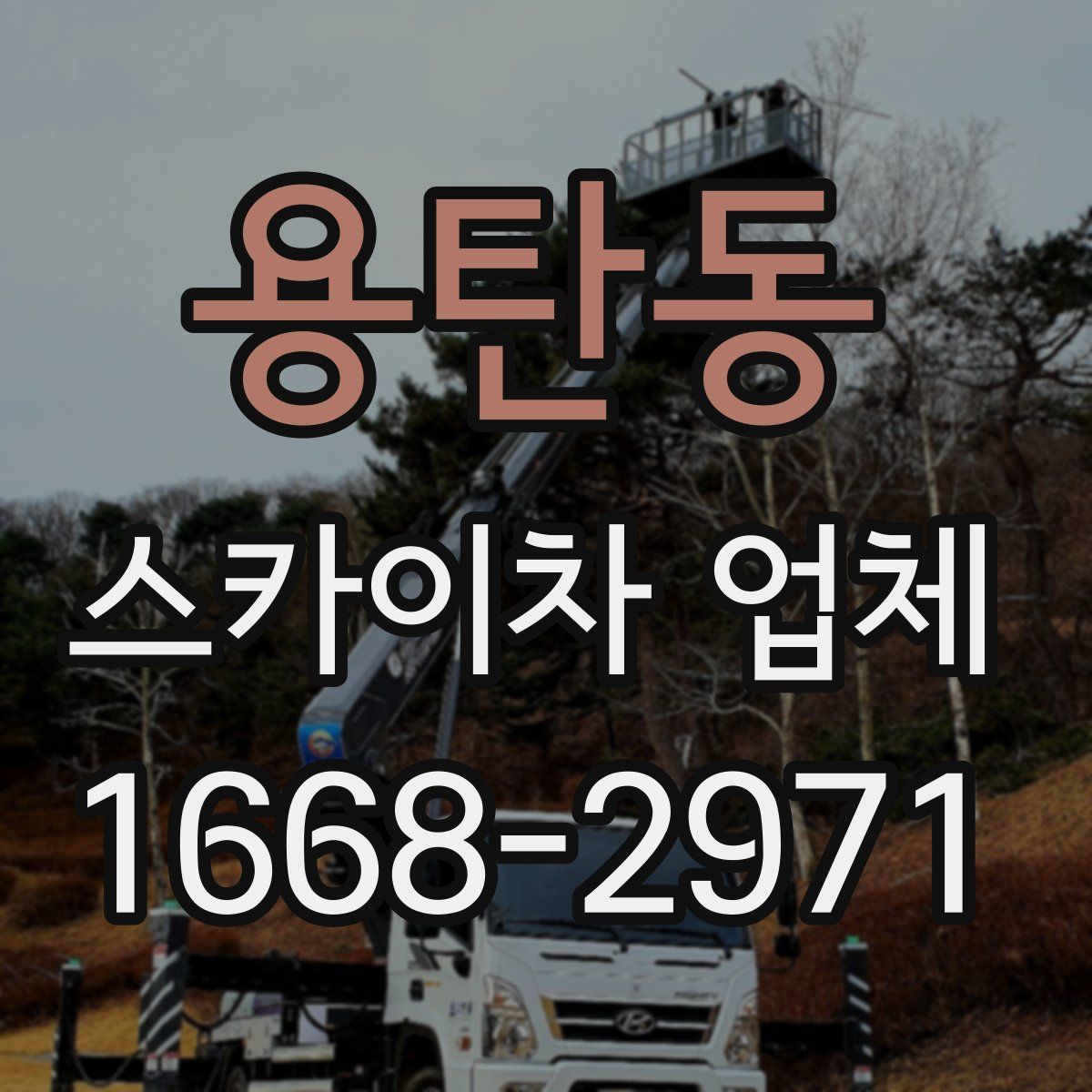용탄동 스카이차 업체