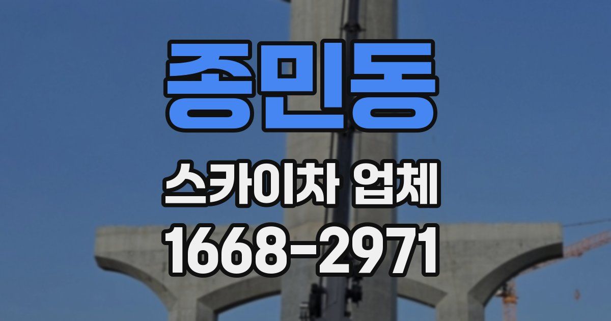 종민동 스카이차 업체