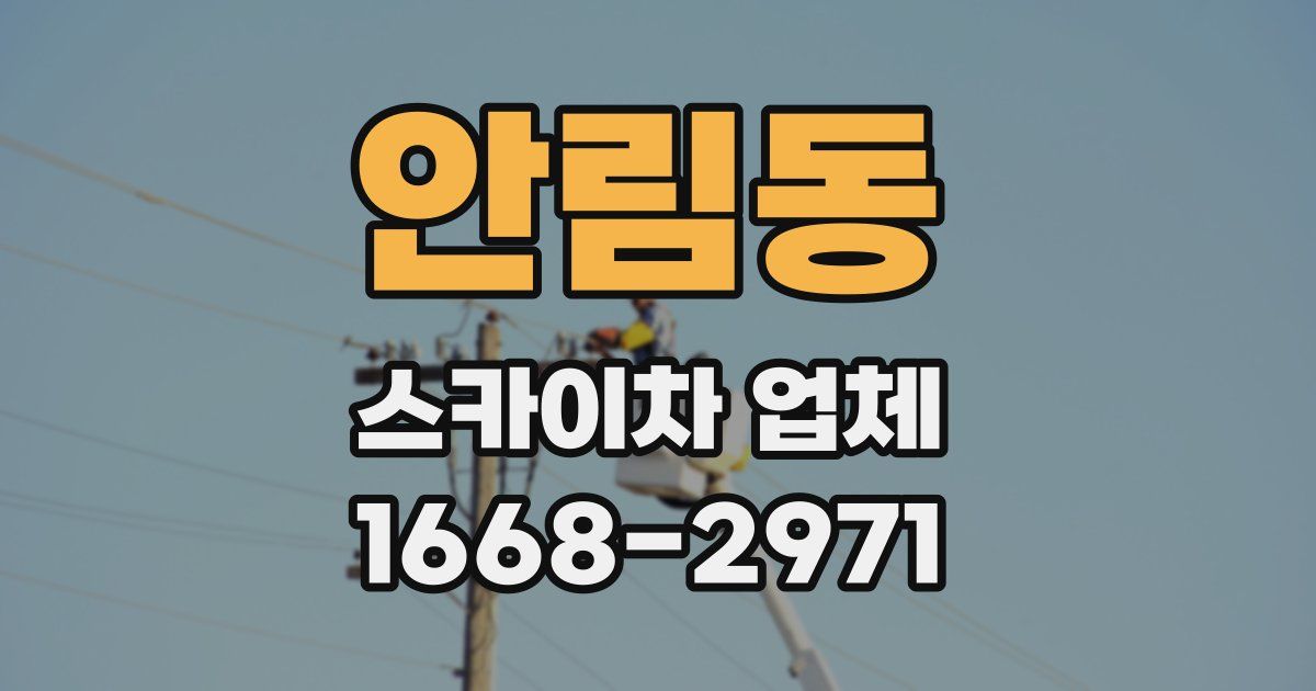 안림동 스카이차 업체