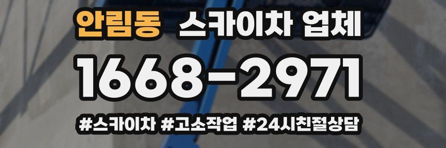 안림동 스카이차 업체
