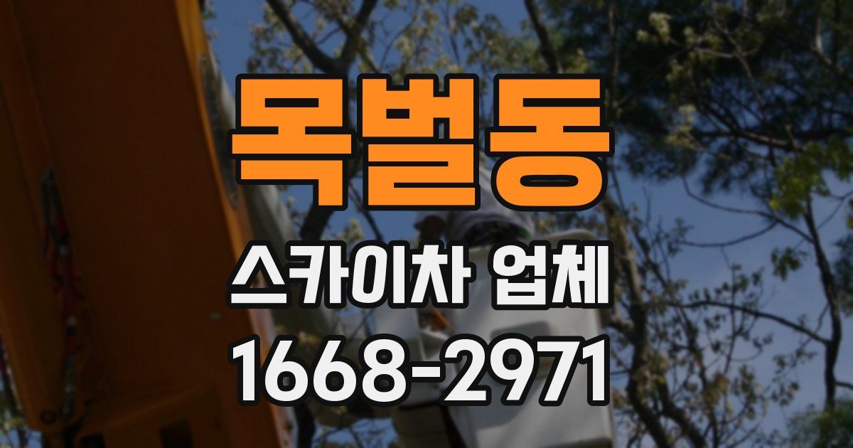 목벌동 스카이차 업체