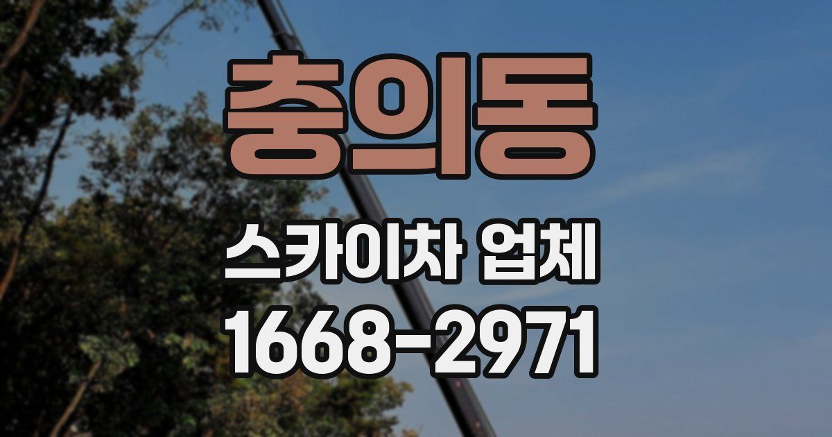 충의동 스카이차 업체