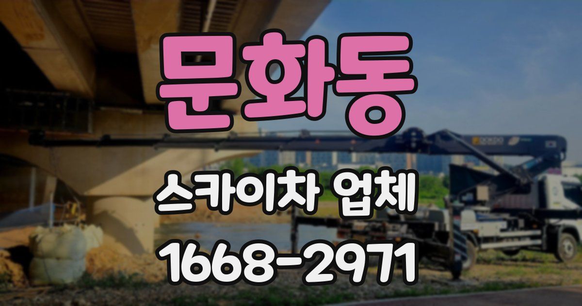 문화동 스카이차 업체