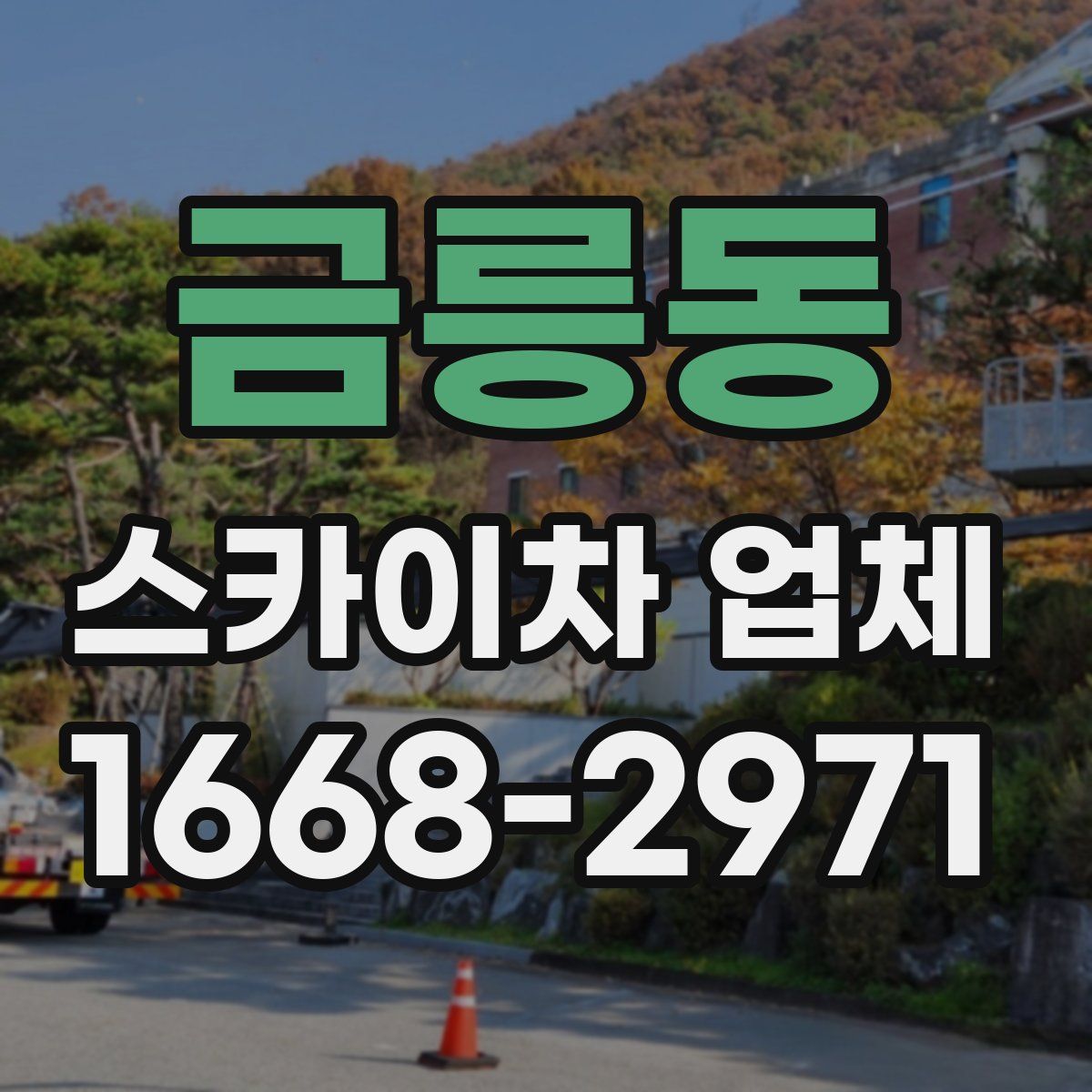 금릉동 스카이차 업체