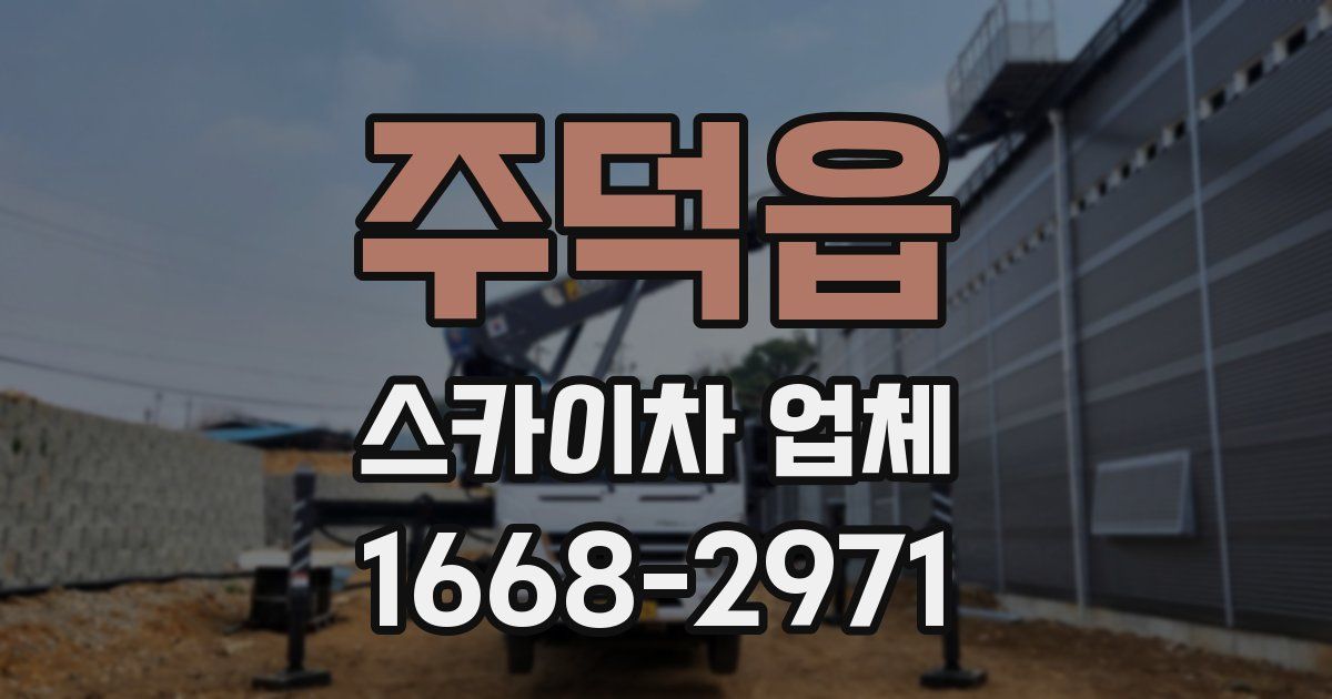 주덕읍 스카이차 업체