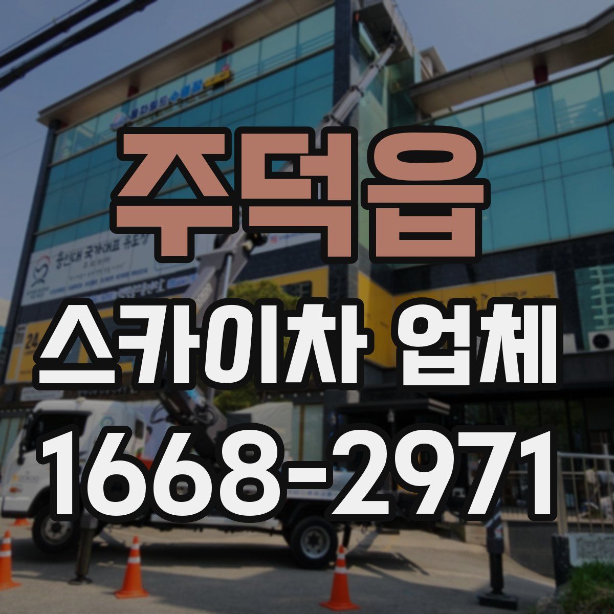 주덕읍 스카이차 업체