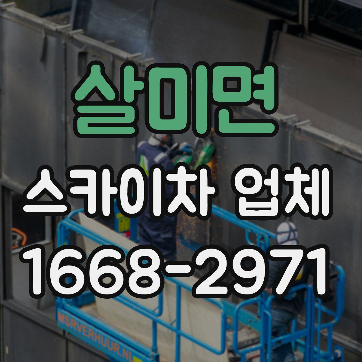 살미면 스카이차 업체