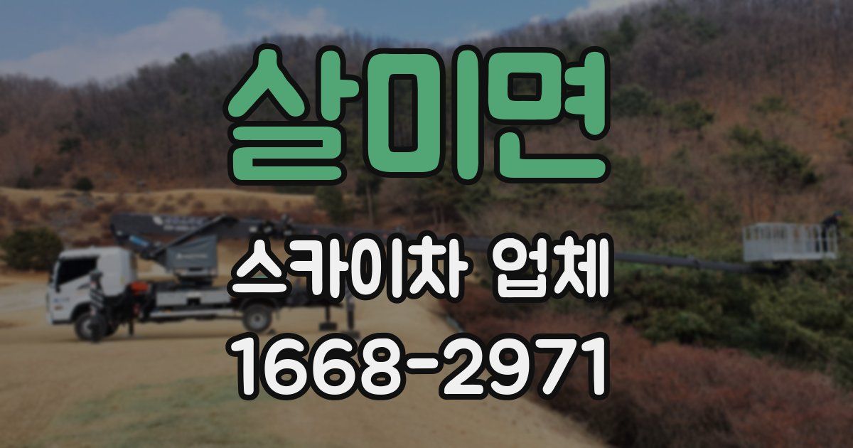 살미면 스카이차 업체