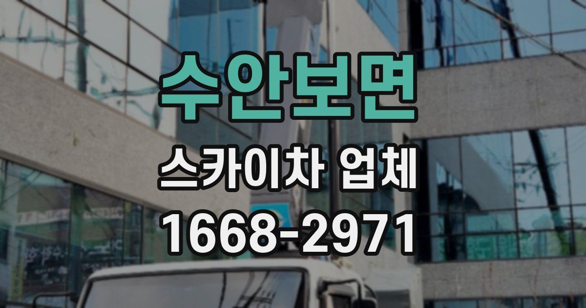 수안보면 스카이차 업체