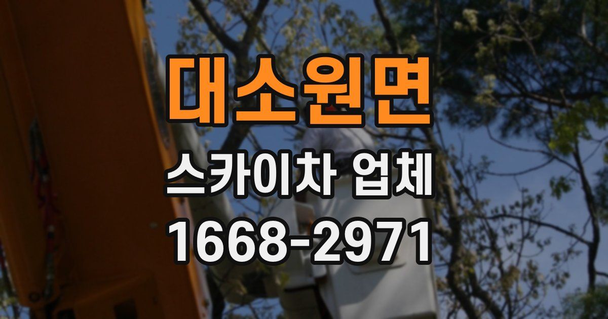 대소원면 스카이차 업체