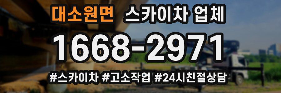 대소원면 스카이차 업체