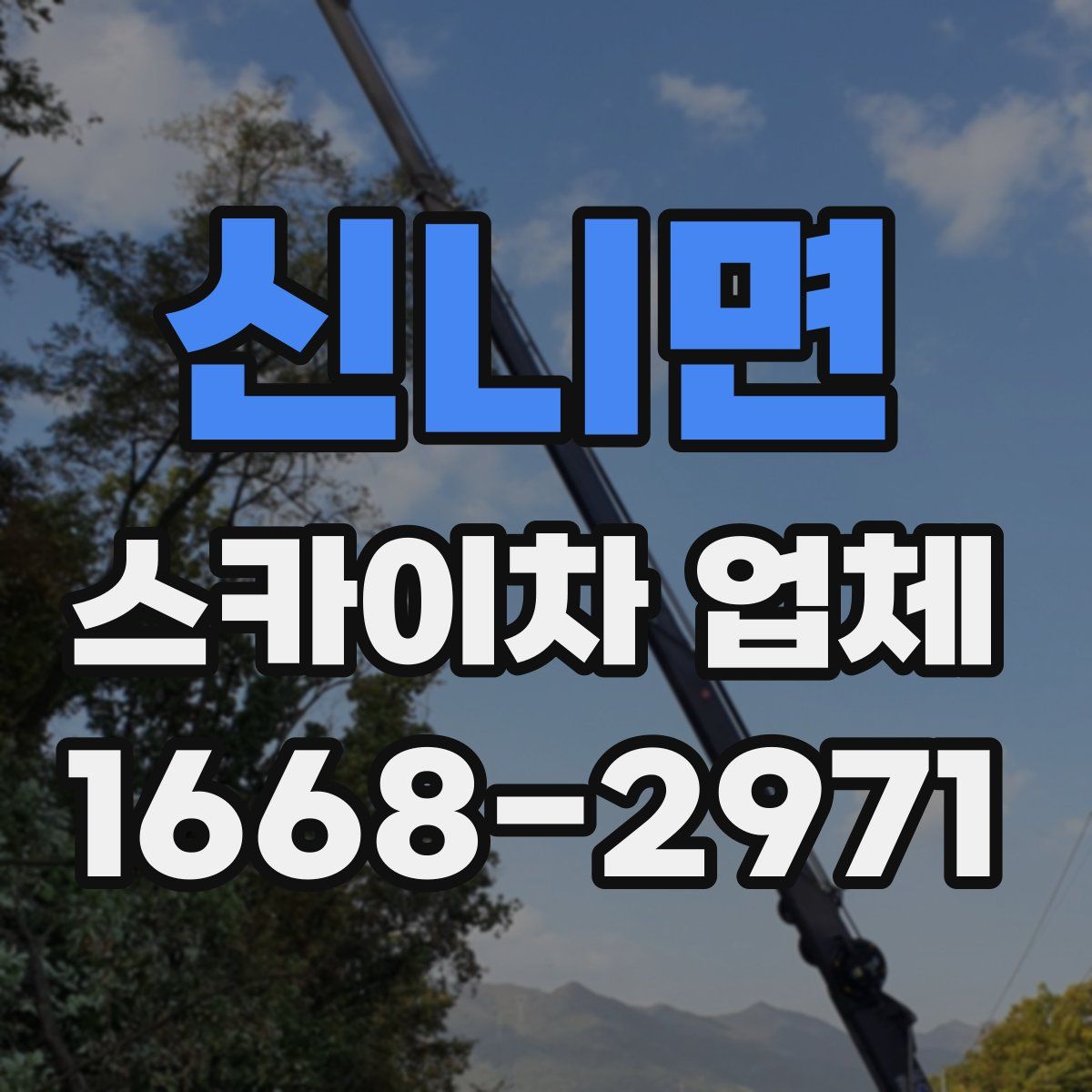 신니면 스카이차 업체
