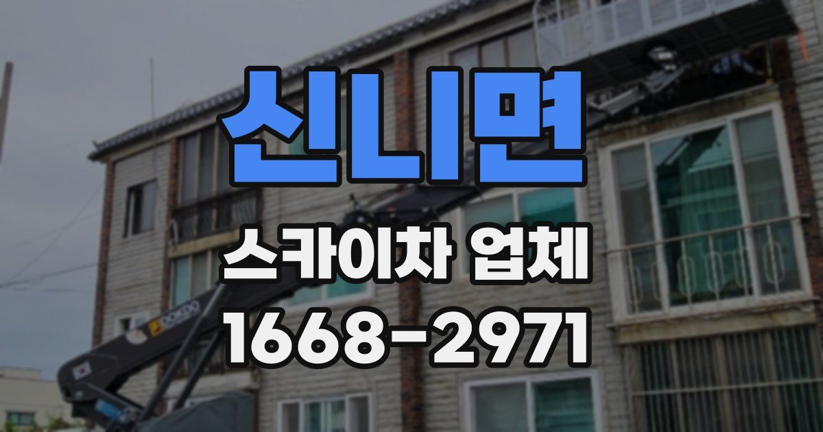 신니면 스카이차 업체
