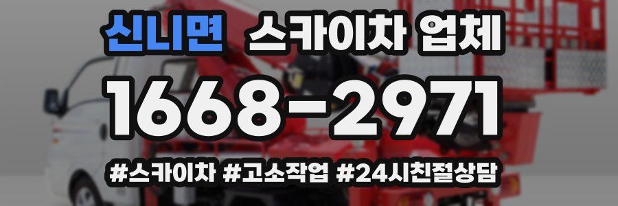 신니면 스카이차 업체