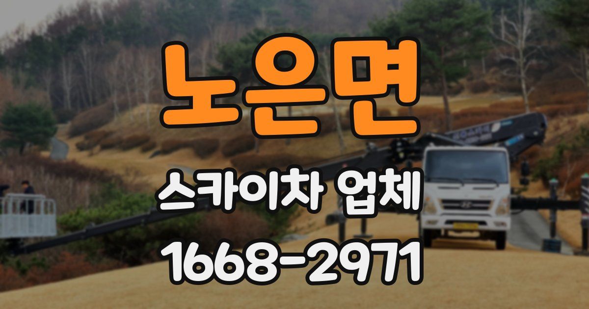 노은면 스카이차 업체
