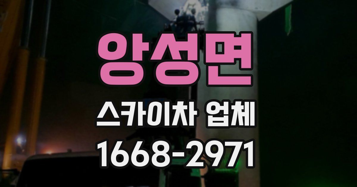 앙성면 스카이차 업체