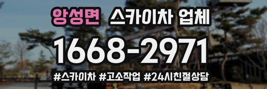 앙성면 스카이차 업체