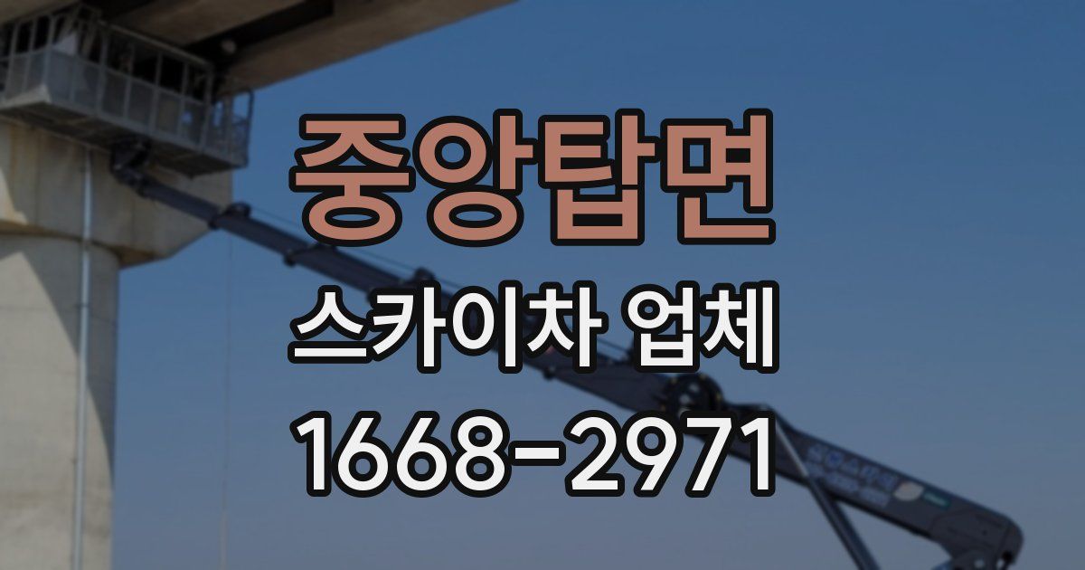 중앙탑면 스카이차 업체
