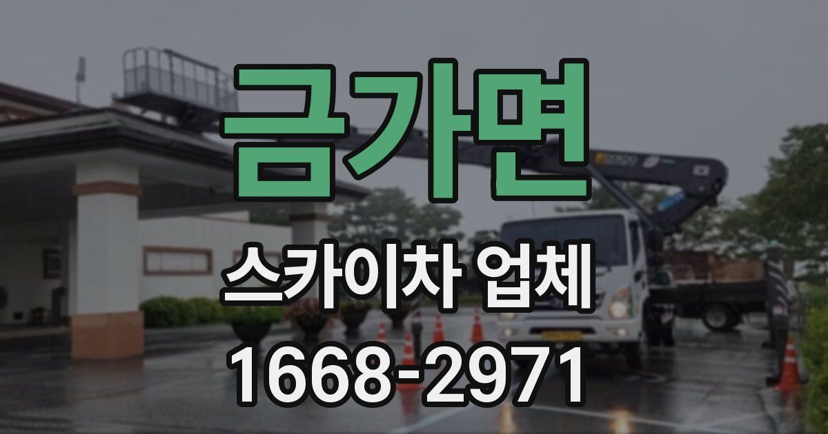 금가면 스카이차 업체