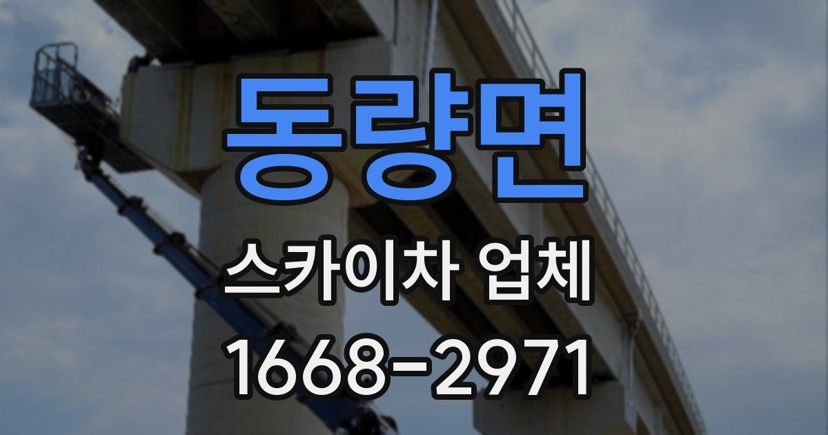 동량면 스카이차 업체
