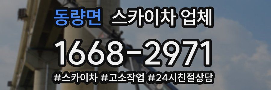 동량면 스카이차 업체