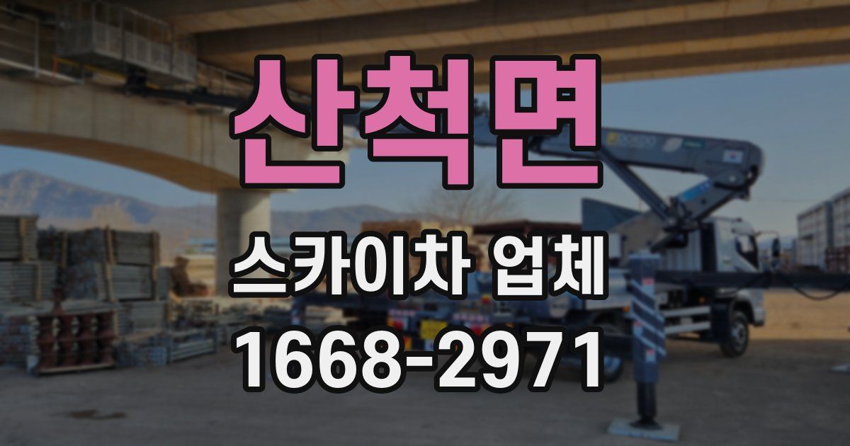 산척면 스카이차 업체