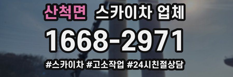 산척면 스카이차 업체