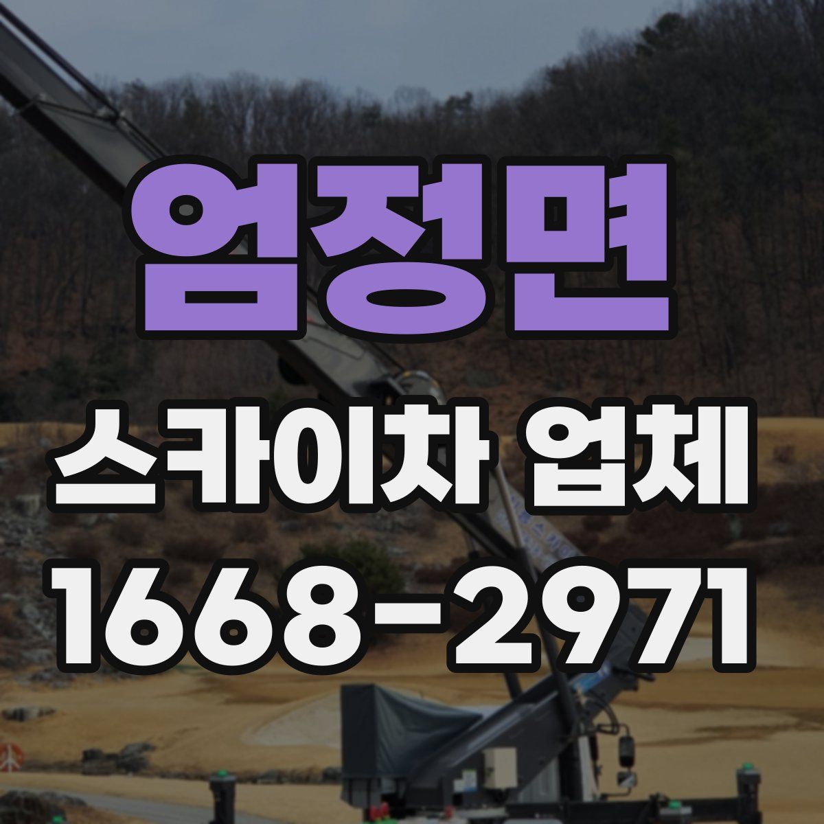 엄정면 스카이차 업체