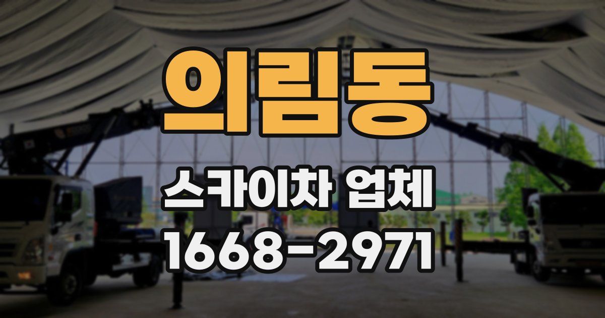 의림동 스카이차 업체