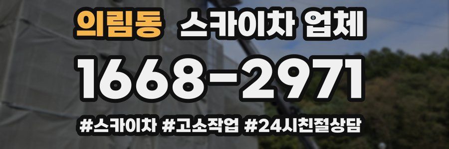 의림동 스카이차 업체