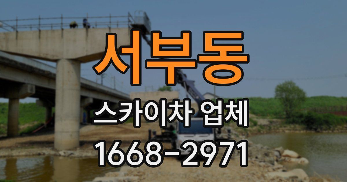 서부동 스카이차 업체