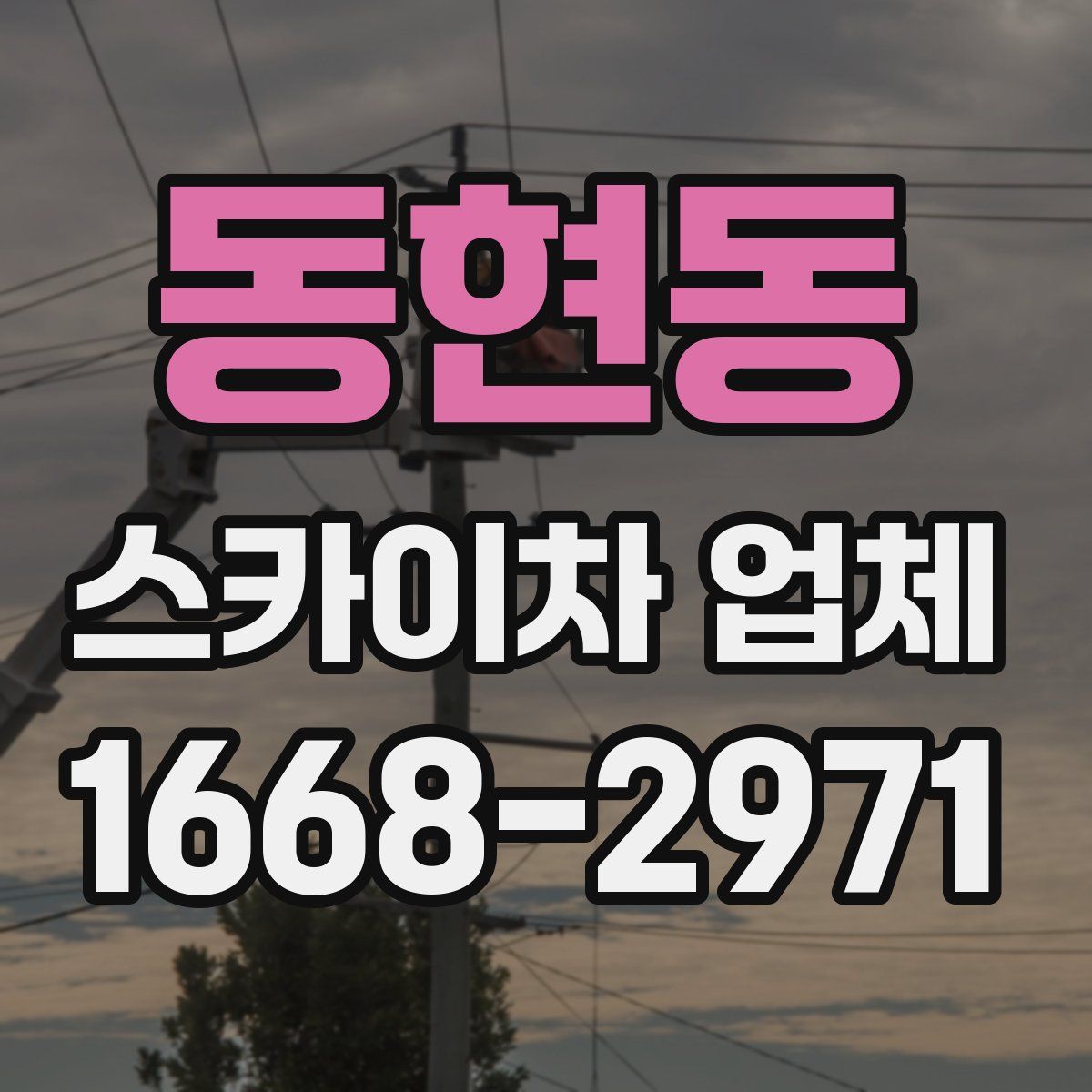 동현동 스카이차 업체