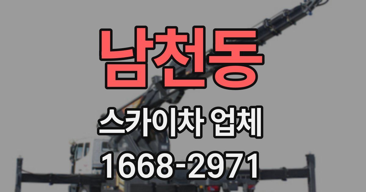 남천동 스카이차 업체