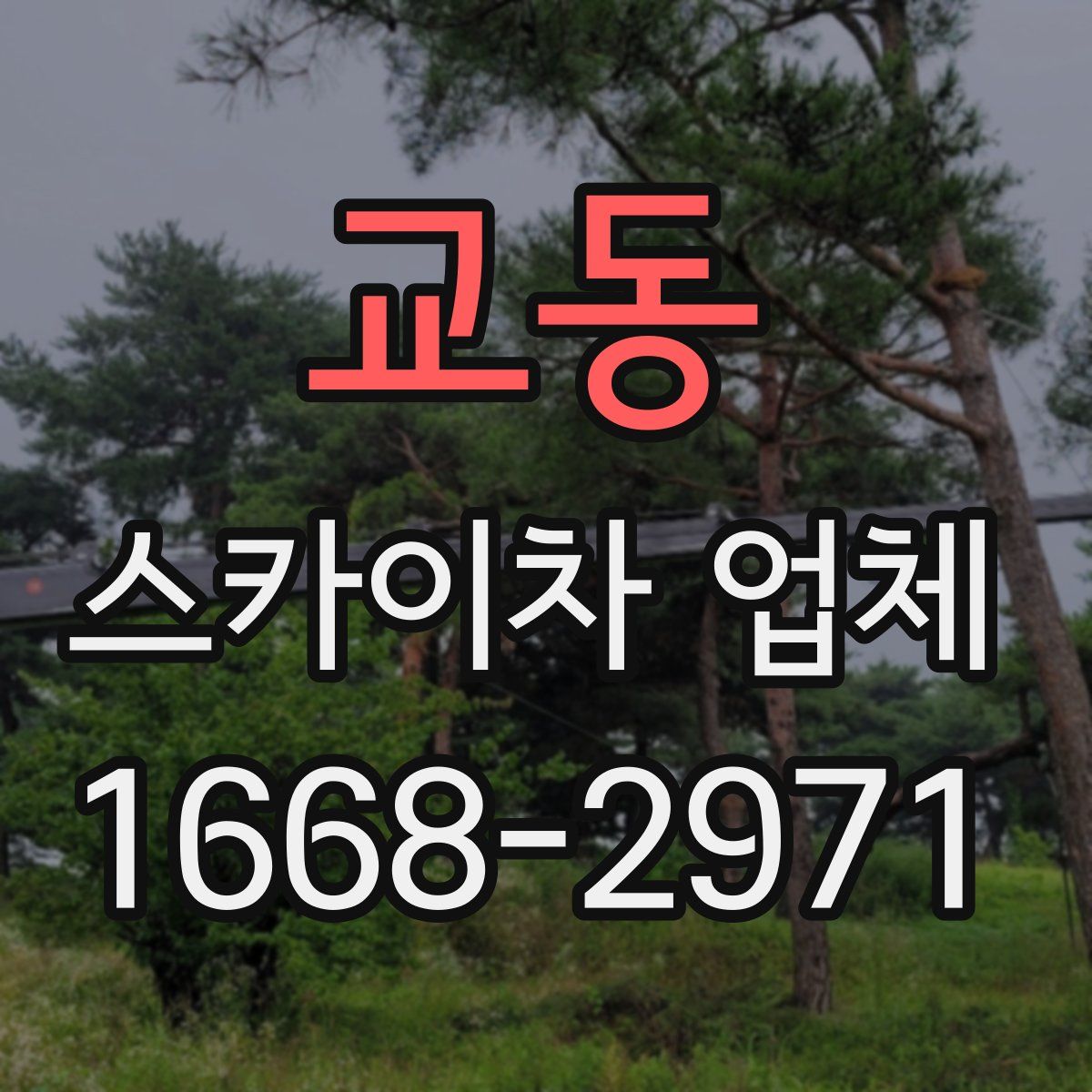 교동 스카이차 업체