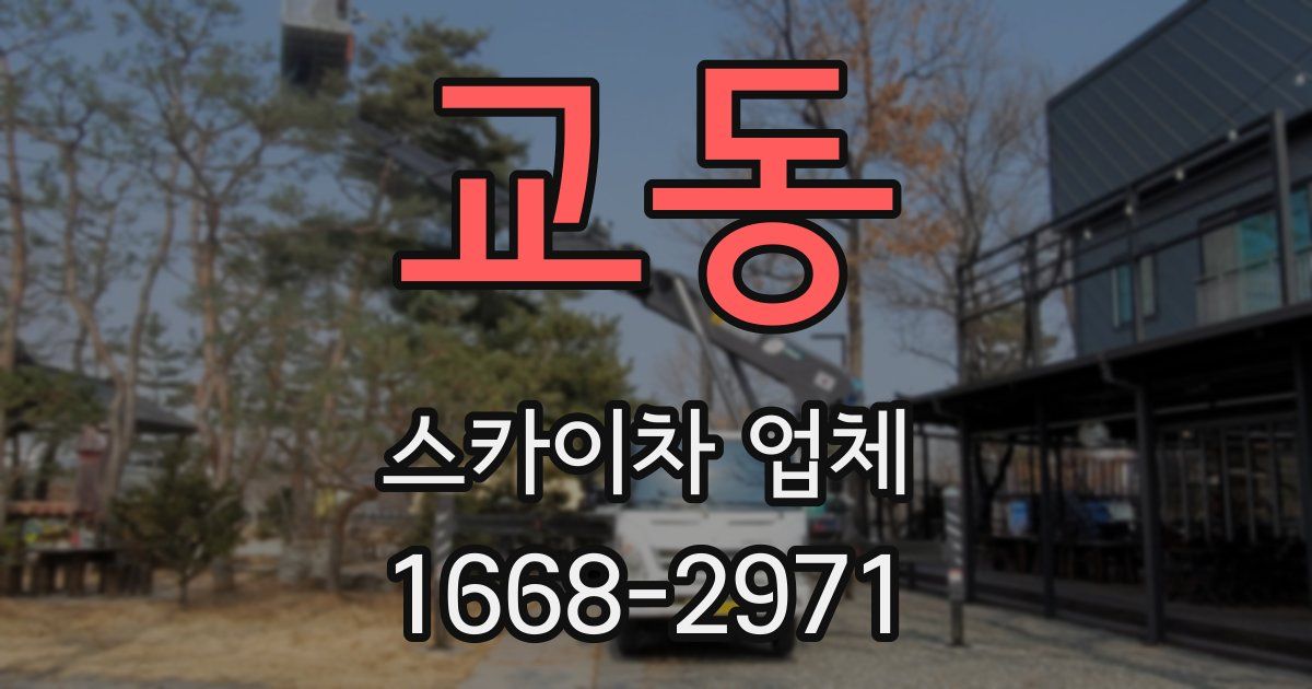 교동 스카이차 업체