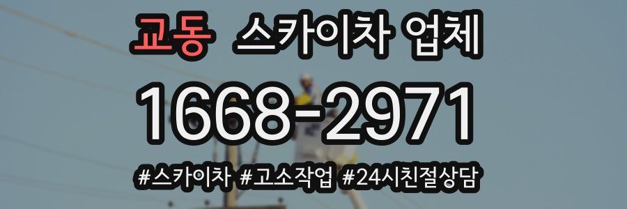 교동 스카이차 업체