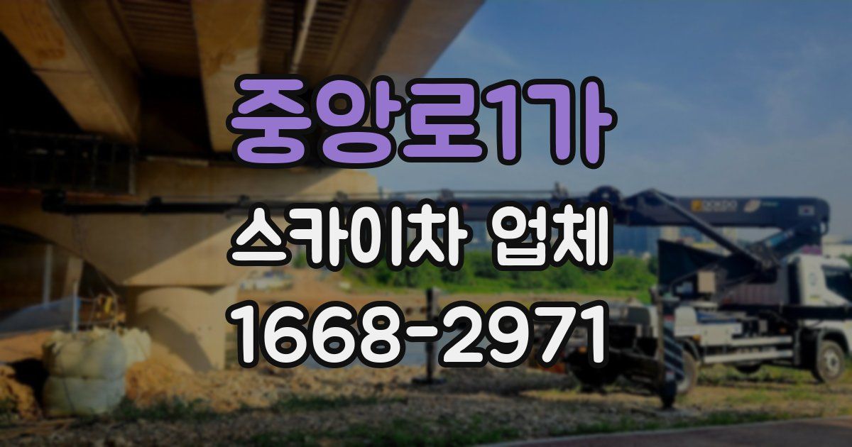 중앙로1가 스카이차 업체