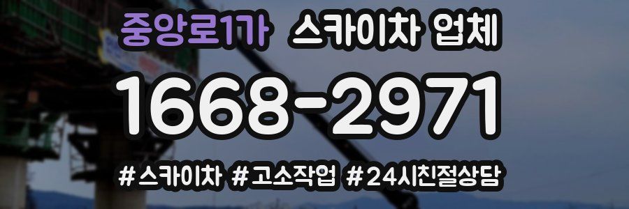 중앙로1가 스카이차 업체