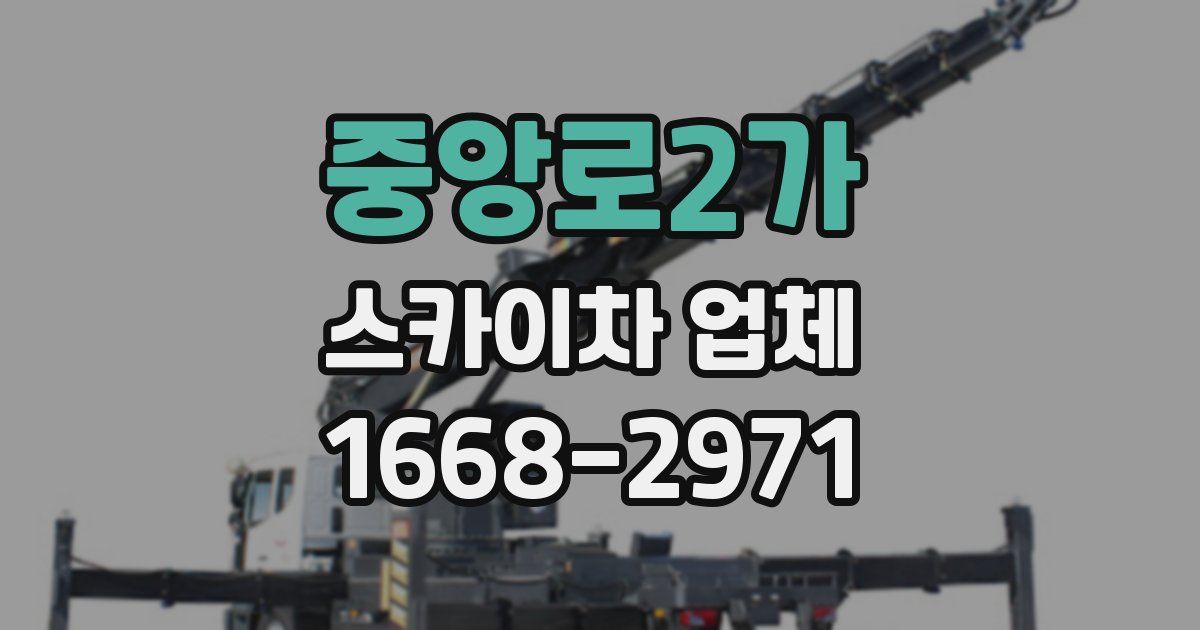 중앙로2가 스카이차 업체
