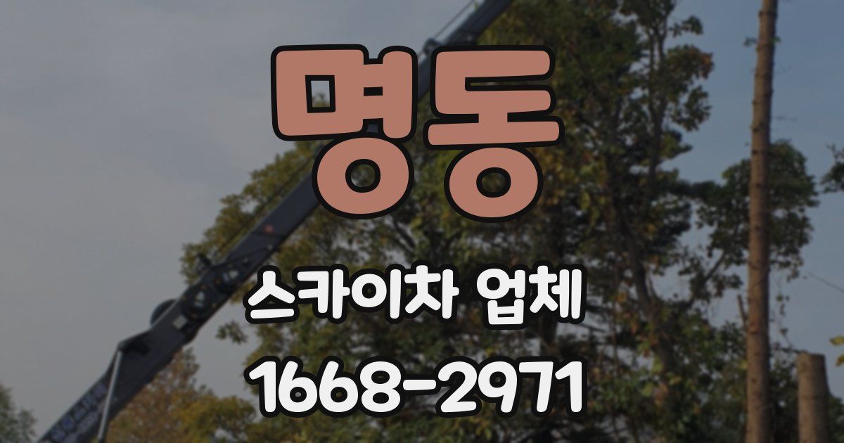 명동 스카이차 업체