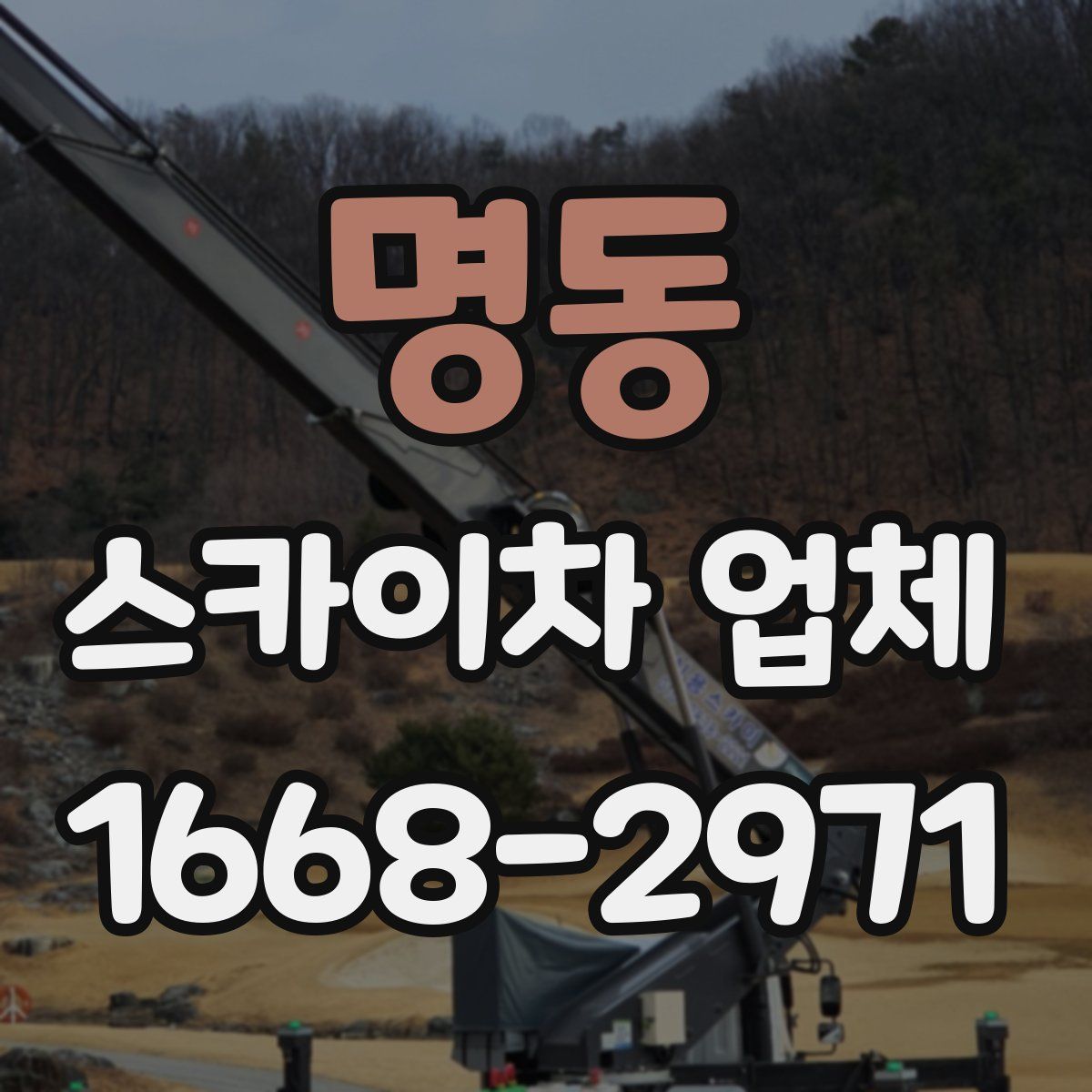 명동 스카이차 업체