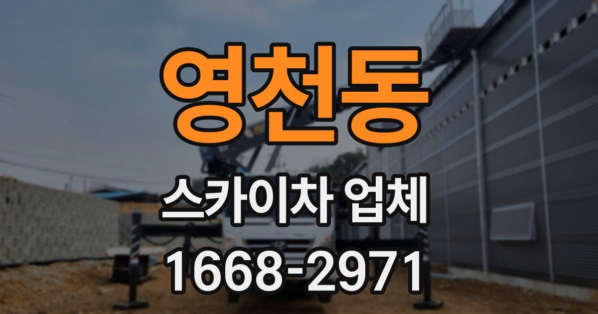 영천동 스카이차 업체