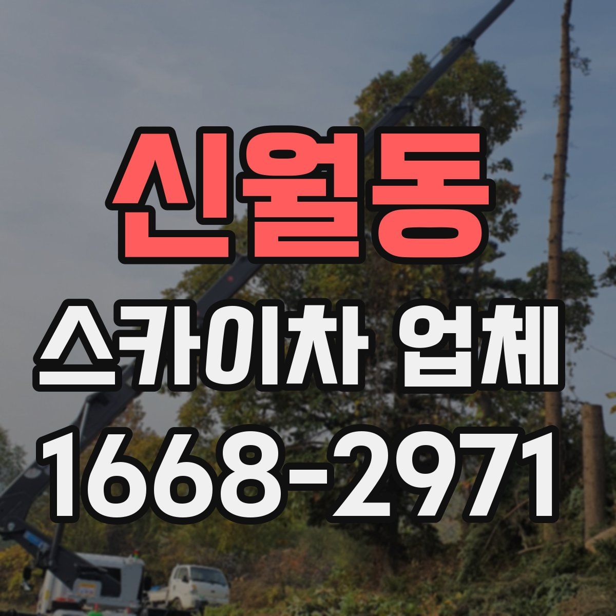 신월동 스카이차 업체