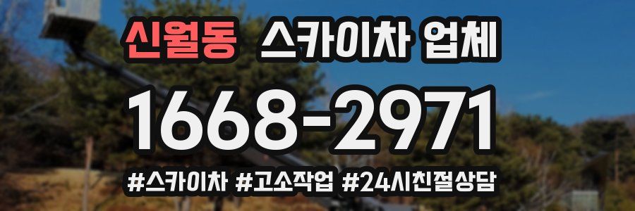 신월동 스카이차 업체