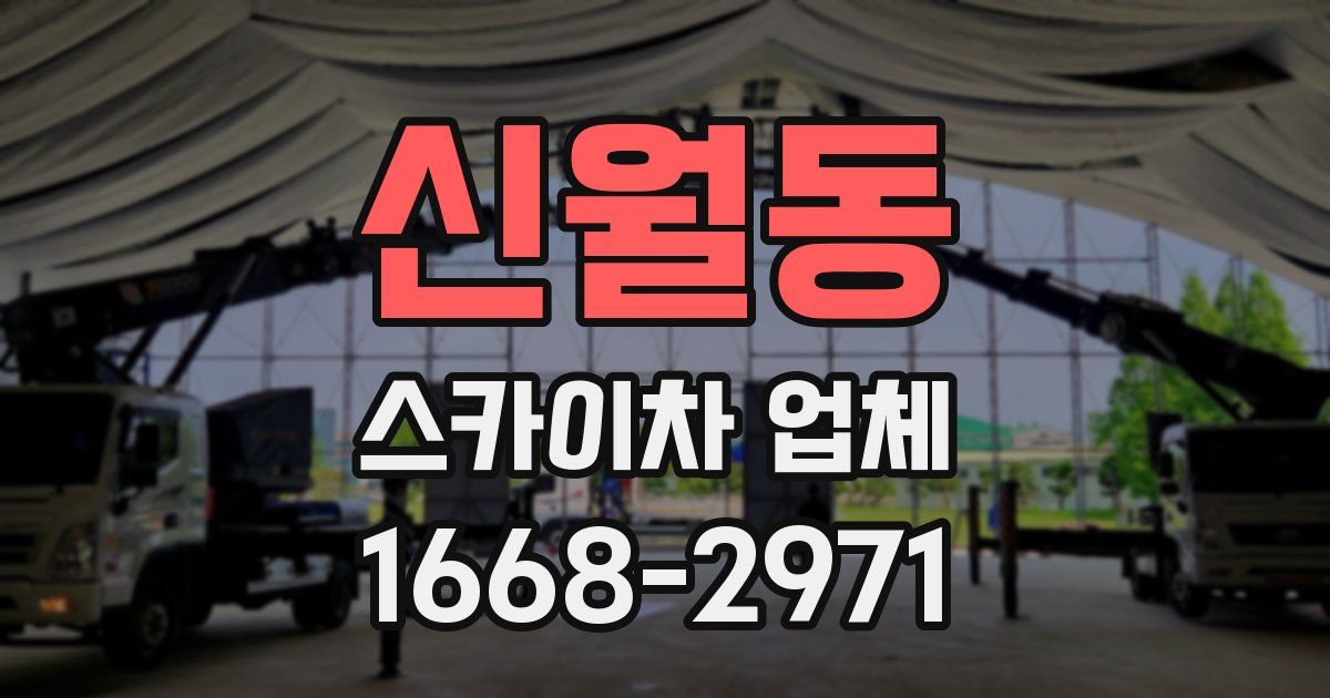 신월동 스카이차 업체