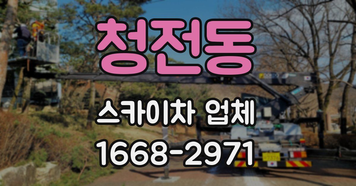 청전동 스카이차 업체