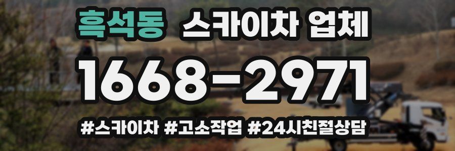 흑석동 스카이차 업체