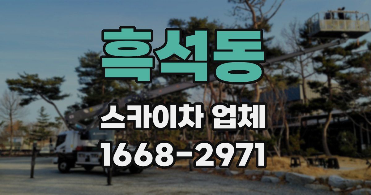 흑석동 스카이차 업체