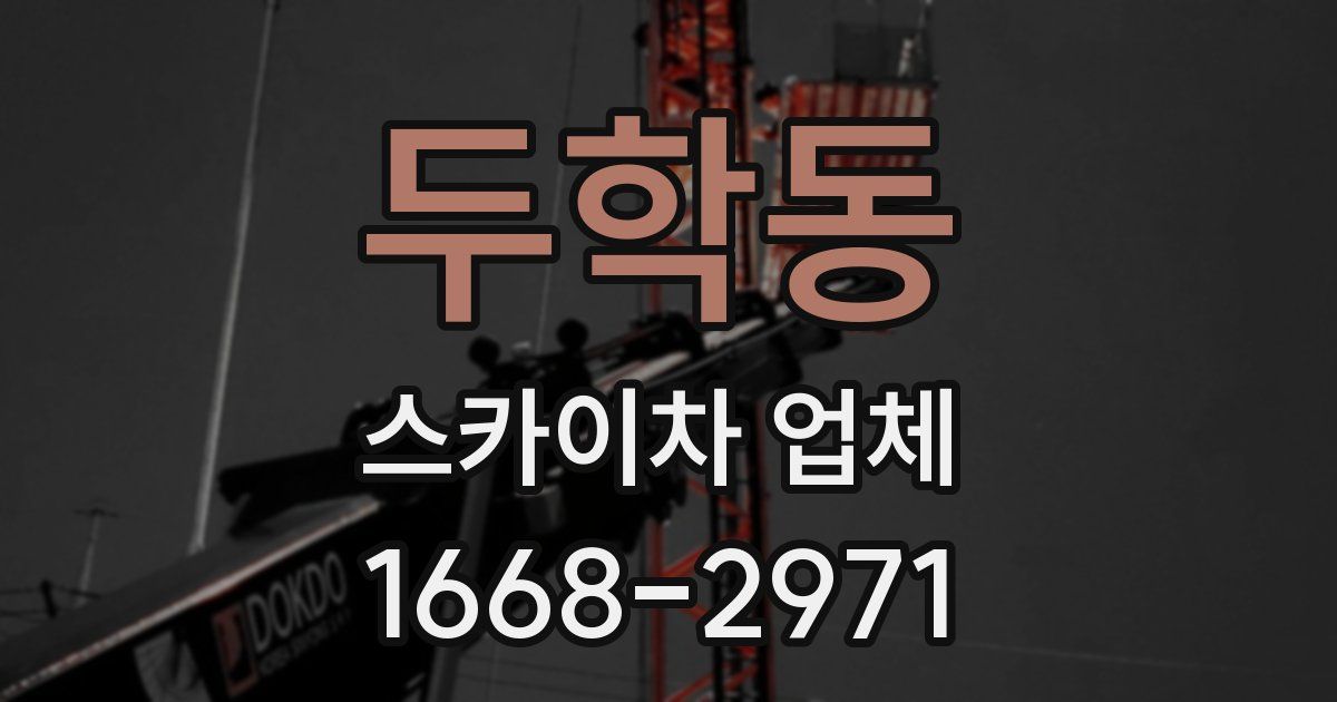 두학동 스카이차 업체