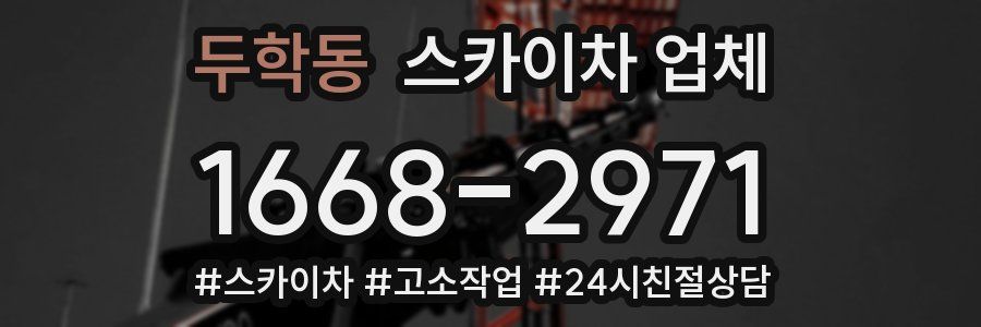 두학동 스카이차 업체
